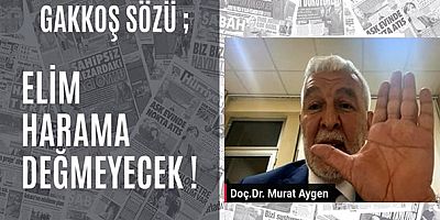 Milliyetçi Hareket Partisi Elazığ Belediye Başkan Adayı Doç. Dr. Murat Aygen, 30 yılın ardından; Elazığ'ı tekrar kazanacaklarını belirtti
