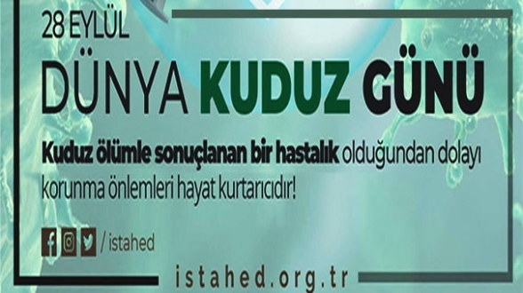 'Kuduz bulaşmasında ana rolü; salyayla temas alır'