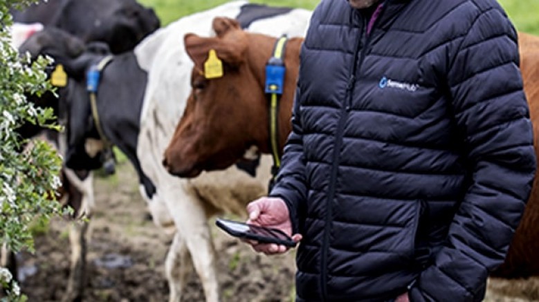 Sense Hub Dairy, 5000 hayvana kadar bireysel düzeyde izlenebilir ve yönetilebilir bir ekosistem sunuyor