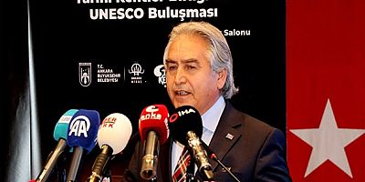 'Deniz kıyısında bile kara yolu yapmak için çok ısrar ediyoruz'