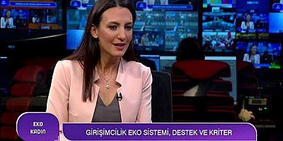 Destek verilecek yatırımlar neye göre seçiliyor?