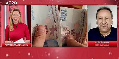 Hiçbir koşuldan etkilenmeyen ekonomi