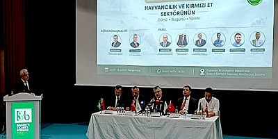 'Kırmızı ette ithalat; toplam arz içinde yalnızca yüzde 7 gibi sınırlı bir paya sahip'