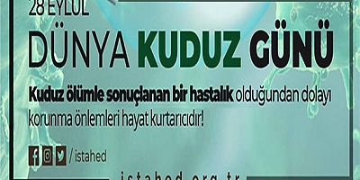 'Kuduz bulaşmasında ana rolü; salyayla temas alır'