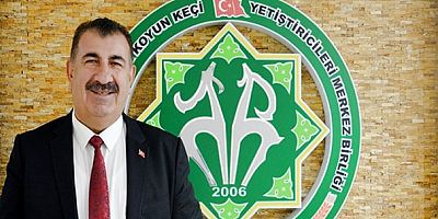 'Ormanlara zarar vermeden 30 milyon koyun ve keçinin masrafsız bir şekilde beslenmelerini sağlayabiliriz'