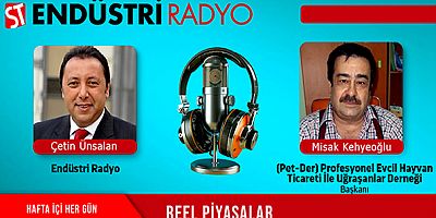 Petshoplar ve bu piyasada yaşananlar