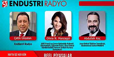 Sürdürülebilirlik konusu ve dünyadaki yaklaşımı