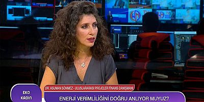 Türkiye, yenilenebilir enerji kullanımında ne durumda?