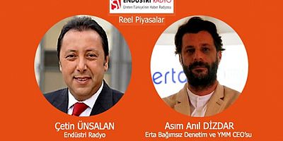 Verimlilik ve denetim ilişkisi nedir?