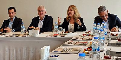 'Yenilenebilir Enerji Kaynakları Destekleme Mekanizması (YEKDEM) kapsamı dışında kalan santraller için 8 dolar/cent seviyesinde bir taban fiyat belirlenmeli'
