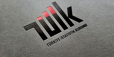 Yıllık enflasyon; yüzde 35,05